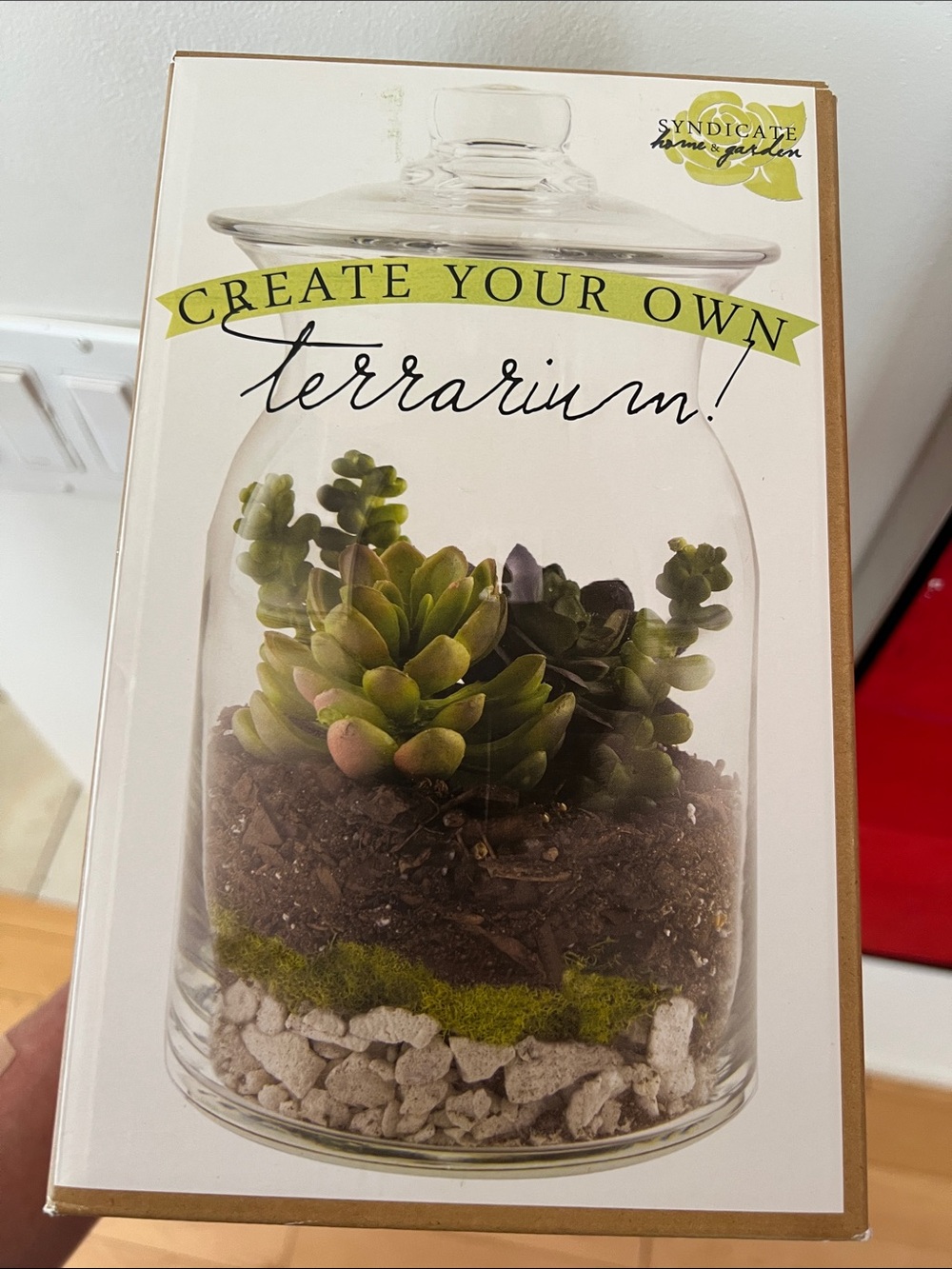 Terrarium Create Own Garden